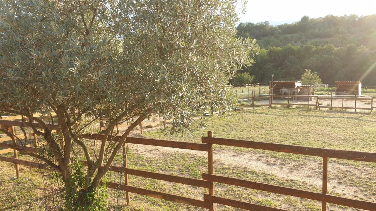 Chambre D'Hotes Le Petit Ranch Los Masos Exteriör bild