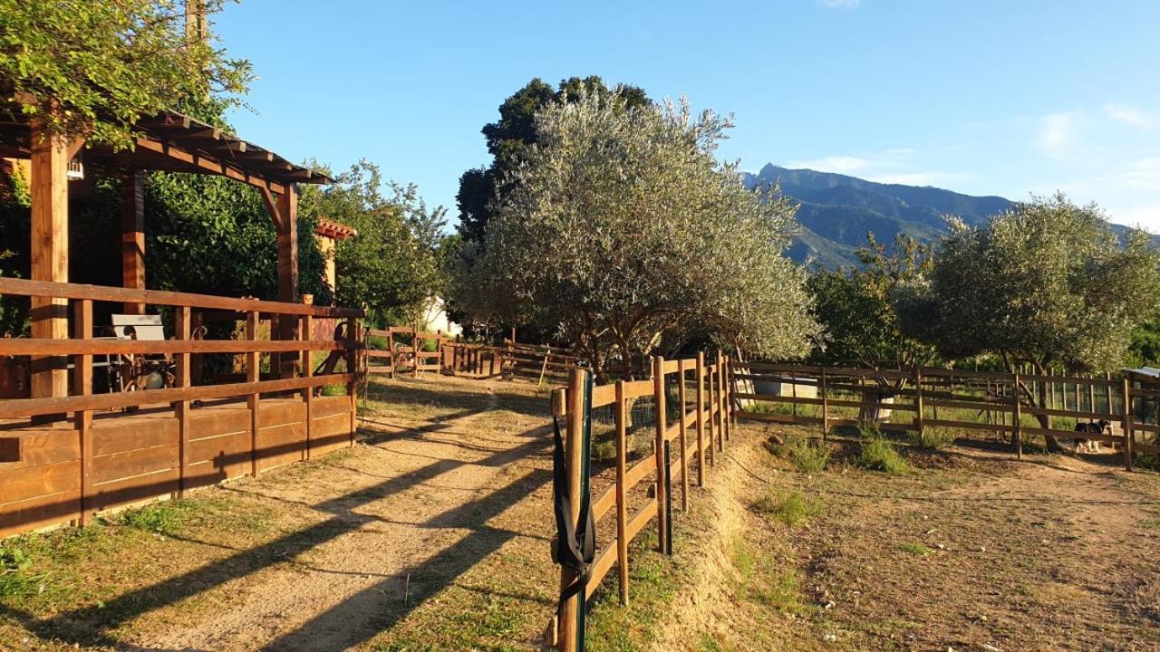 Chambre D'Hotes Le Petit Ranch Los Masos Exteriör bild
