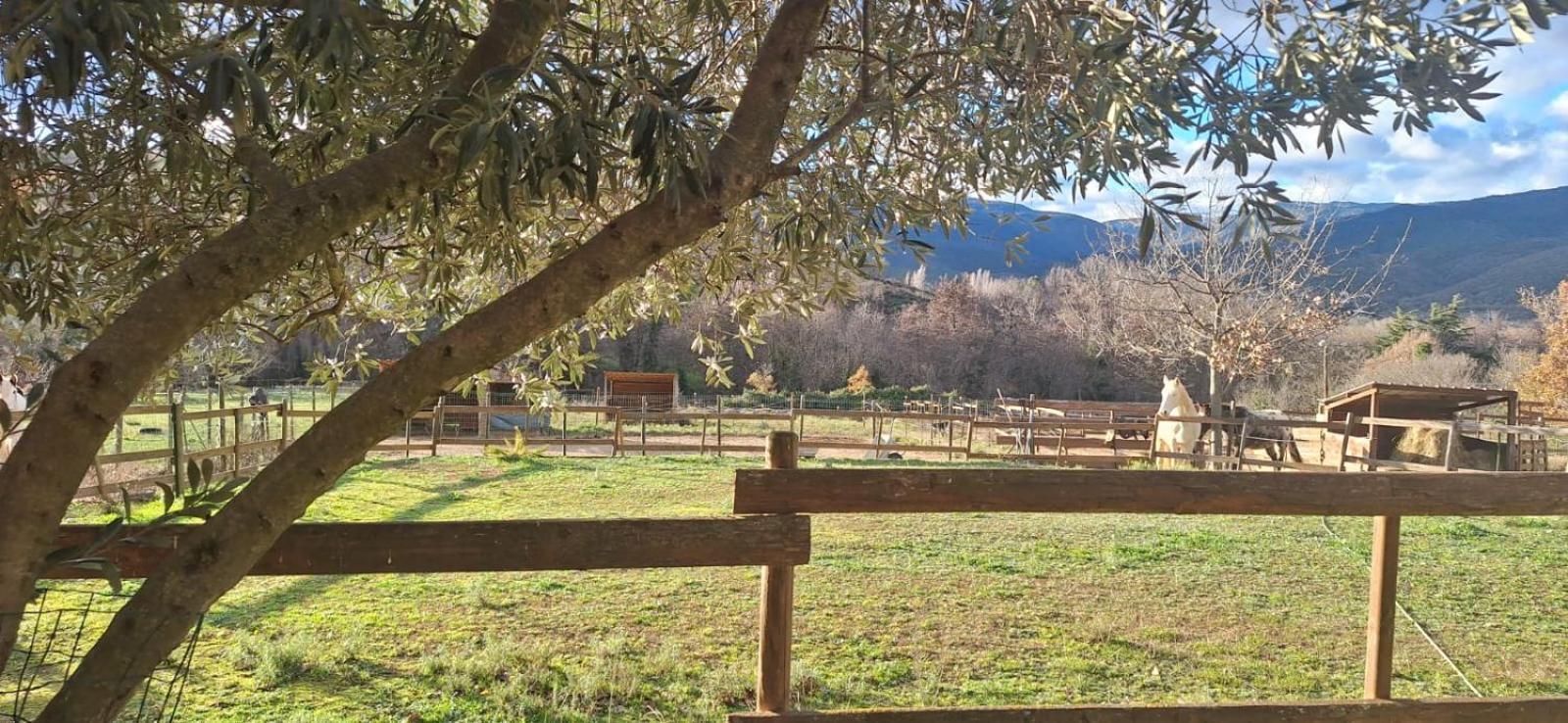 Chambre D'Hotes Le Petit Ranch Los Masos Exteriör bild